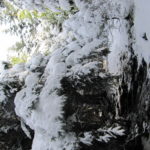 Herbst trifft Winter am Hochsalm