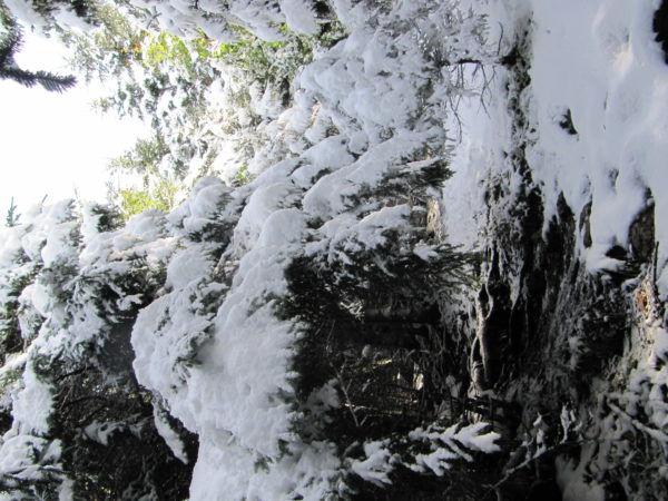 Herbst trifft Winter am Hochsalm